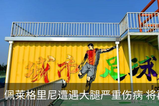 佩莱格里尼遭遇大腿严重伤病 将再次缺阵